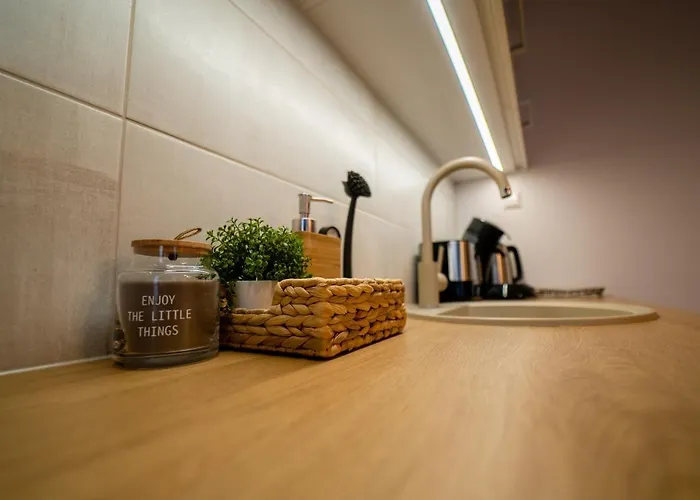 公寓 Otepaeae Holiday Apartment *